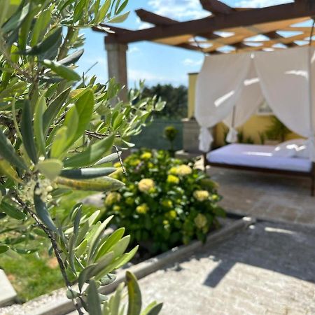 Quinta Da Menina Guest House Vila Real Buitenkant foto